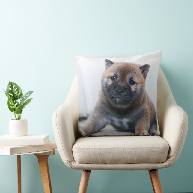 Det här är en värdefull Akita-marionett, Pillow Kudde (Stol)