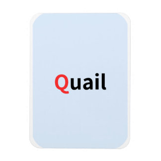 Det här är flashkort för färgad alfabet. magnet