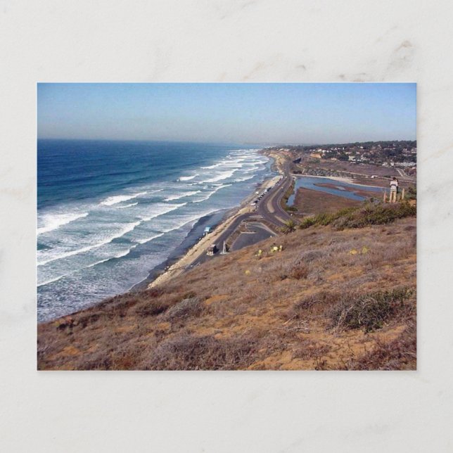 Det här är från Torrey Pines State Park Vykort (Framsida)