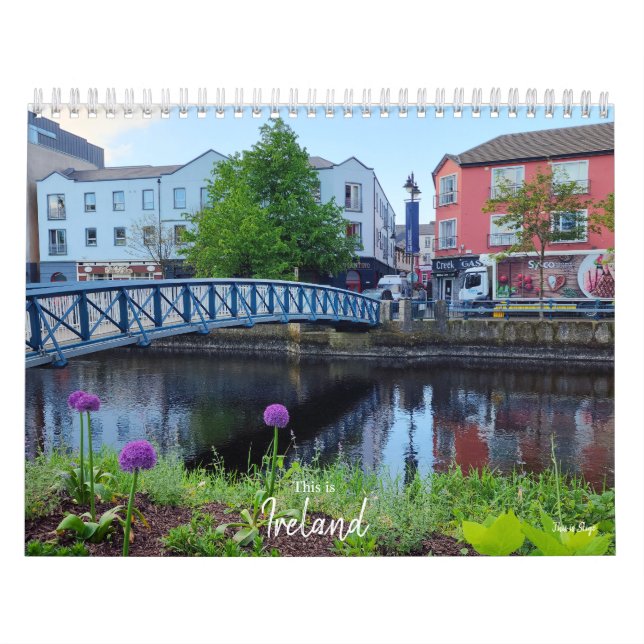 Det här är Irlands kalender (Omslag)