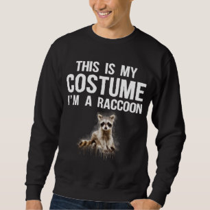Det här är min dräkt jag är en Raccoon Cute Hallow Lång Ärmad Tröja
