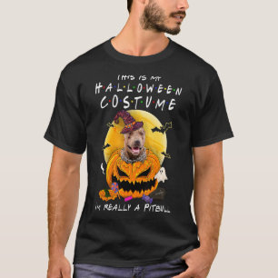 Det här är min Halloween-dräkt jag är Verkligen Pi T Shirt