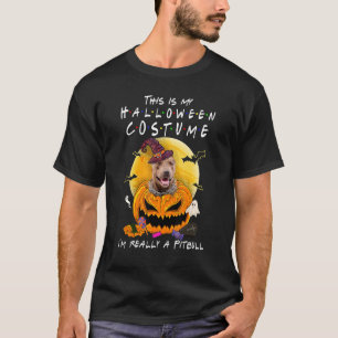 Det här är min Halloween-dräkt jag är Verkligen Pi T Shirt