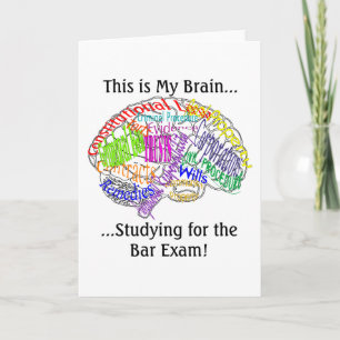 Det här är min hjärna, Pub Exam. Kort
