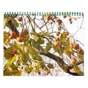 Det här är några av mina favoritkalender i Sak Kalender