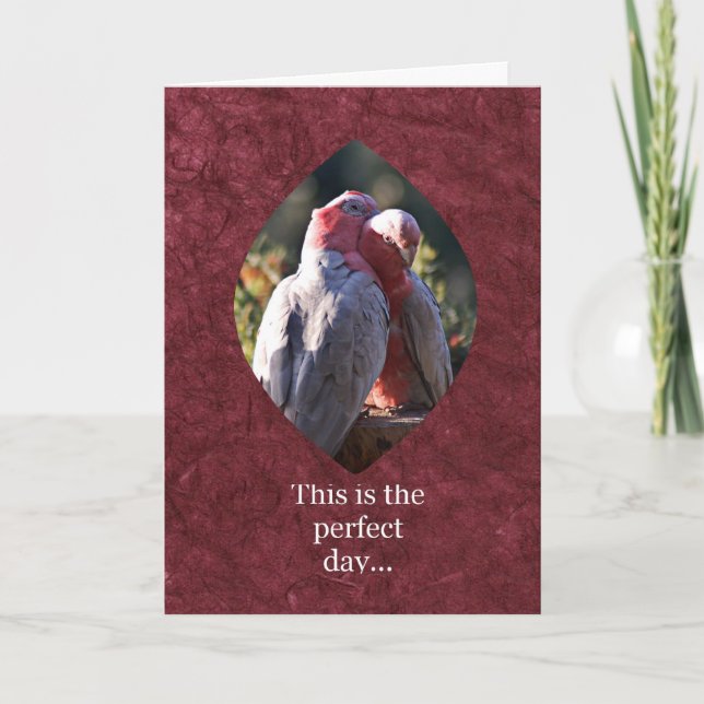 Det här är perfektens dag helgkort (Framsida)