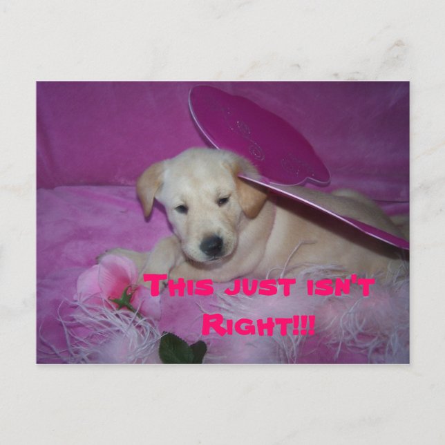 Det här är så förödmjukande, det här är bara inte  vykort (Framsida)