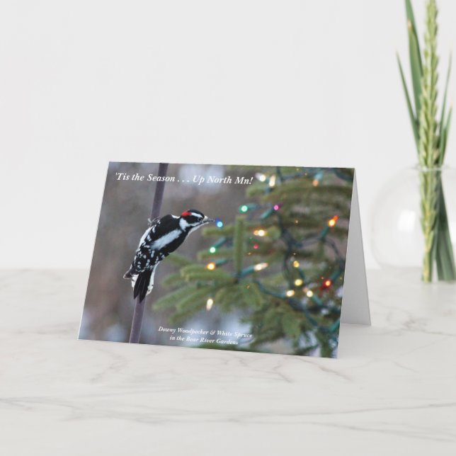 "Det här är säsongen uppe i norra Mn! God jul Tack Kort (Framsida)