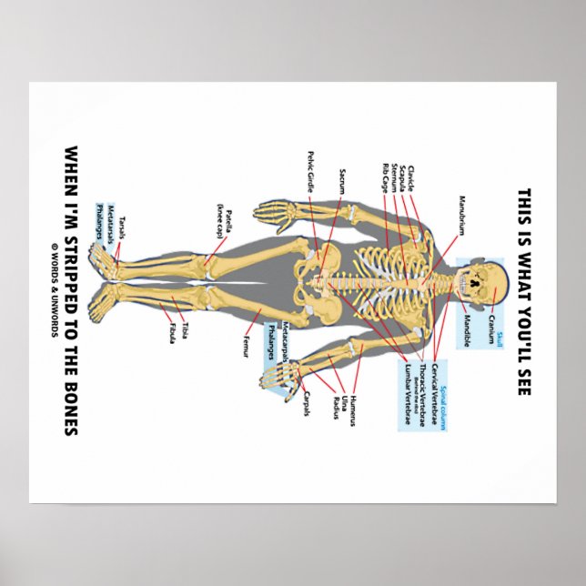 Det här är vad du ser när jag är fast vid benen poster (Framsidan)