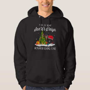 Det här är vad min jultomts Sleigh faktiskt ser ut Hoodie