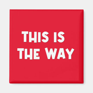 Det här är Way Magnet