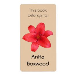 Det här Bok-Tillhöret till det anpassade namnet Re Fraktsedel