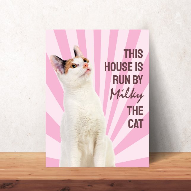 Det här huset styrs av katten Anpassad kattaffisch Poster (This House is Run by the Cat Custom Cat Poster)