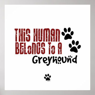 Det här mänskliga Tillhöret till ett greyhound Poster