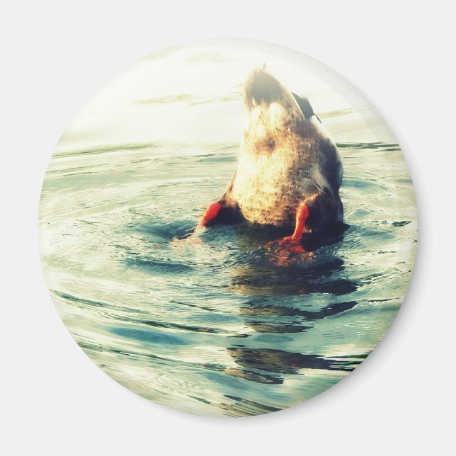 Det här slutar! Anka Butt Magnet (Framsidan)