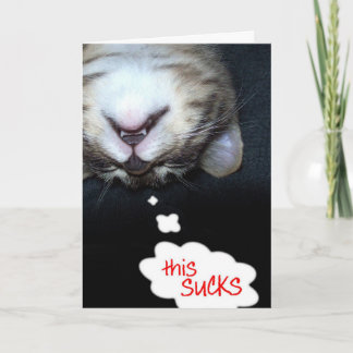Det här Sucks! Hämta Kattunge-kort Kort