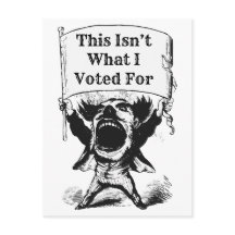 Det här var inte det jag röstade på