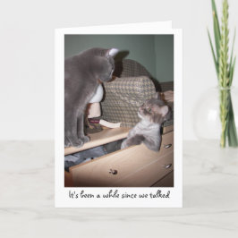 Det har varit en stund, sedan vi talade kort