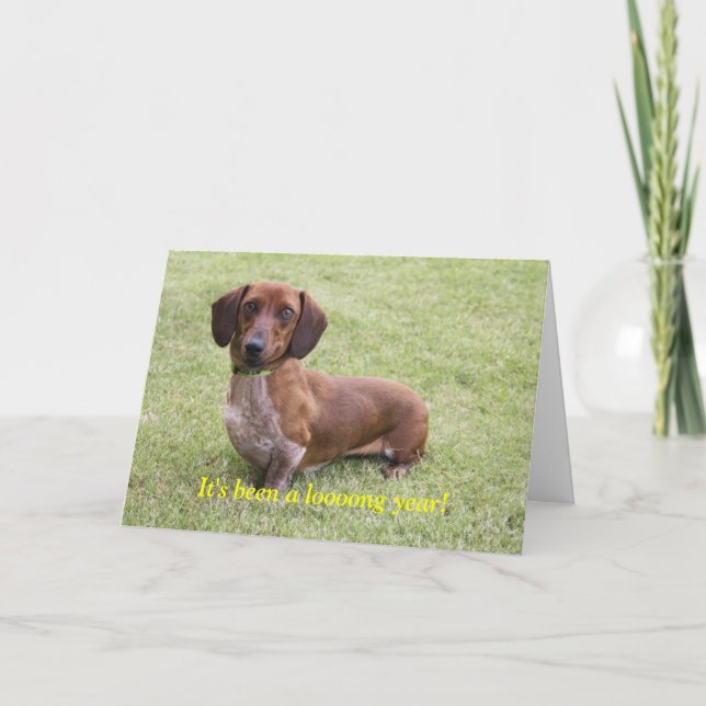 Det har varit ett stort år kort (Framsida)