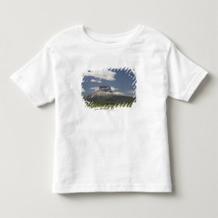 Det högsta berg med betar av betande nötkreatur tee shirt