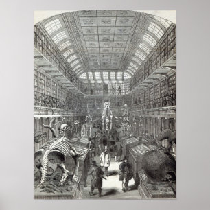 Det Hunterian museet Poster