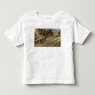 Det italienska berg landskap, c.1824 tee