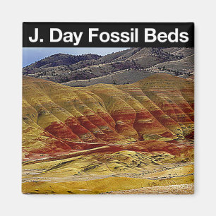 Det John dagfossil bäddar ned medborgaremonumente Magnet