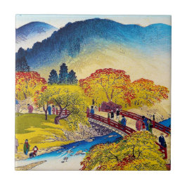 Det kalla japanska berg Fall River överbryggar Kakelplatta