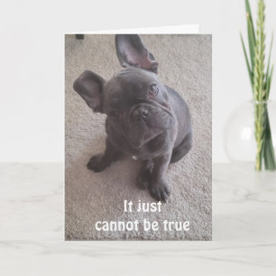 *DET KAN BARA INTE VARA SANT** 40 BIRTHDAY-KORT KORT