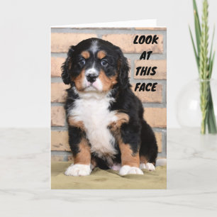 DET KAN INTE SÄGA I PERSON SÅ LEDSEN KORT