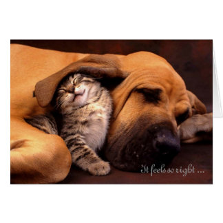 Det känselförnimmelser som är så rätt med dig hälsningskort