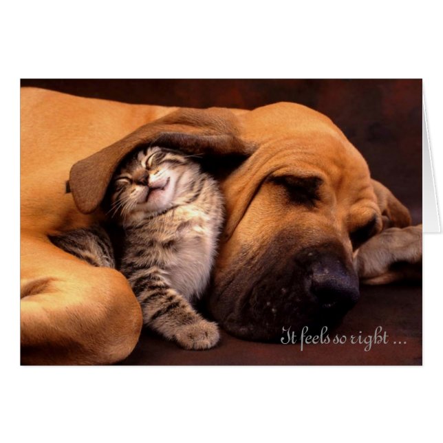 Det känselförnimmelser som är så rätt med dig hälsningskort (Framsidan Horizontal)