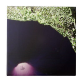 Det keramiska blom- fotoet belägger med tegel kakelplatta