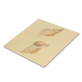 Det keramiska nautiska temat belägger med tegel kakelplatta