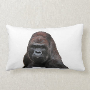 DET KLOKA LUMBARKUDDE