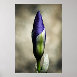 Det kommande utskriften av skönhet poster