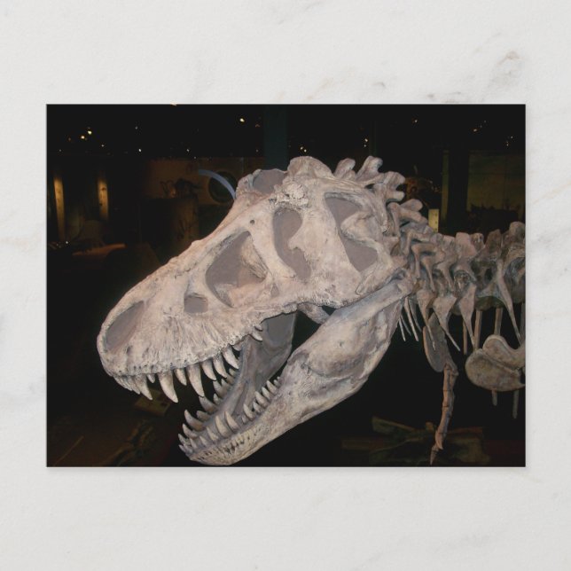 Det kommer att äta dig! vykort (Framsida)