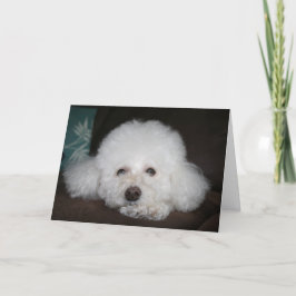 Det kommer att ordna sig Hundkort Kort