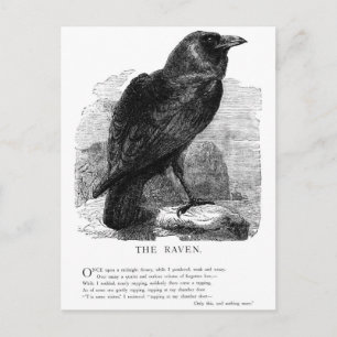 Det korpsvart av Edgar Allen Poe Vykort