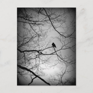 Det korpsvart vykort