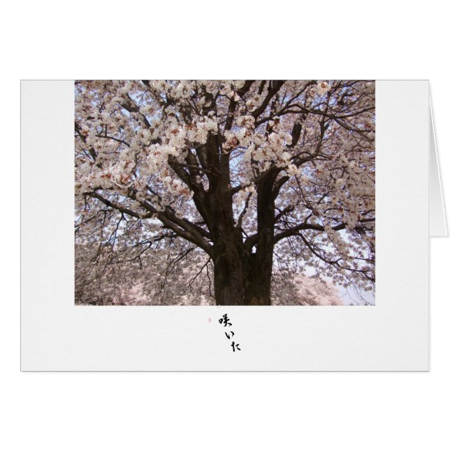 Det körsbärsröda träd i Japan 1 Hälsningskort (Framsidan Horizontal)
