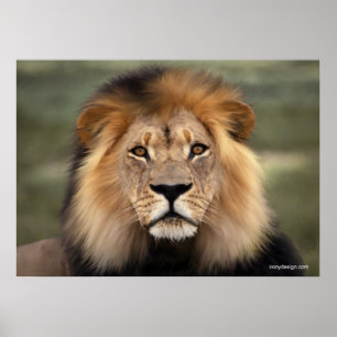 Det lejont poster