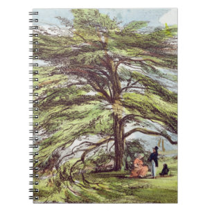Det Libanon cederträträd i arboretumen, Kew Gard Anteckningsbok Med Spiral