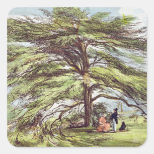 Det Libanon cederträträd i arboretumen, Kew Gard Fyrkantigt Klistermärke