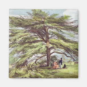 Det Libanon cederträträd i arboretumen, Kew Gard Magnet