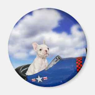 Det lite pilot- magnet