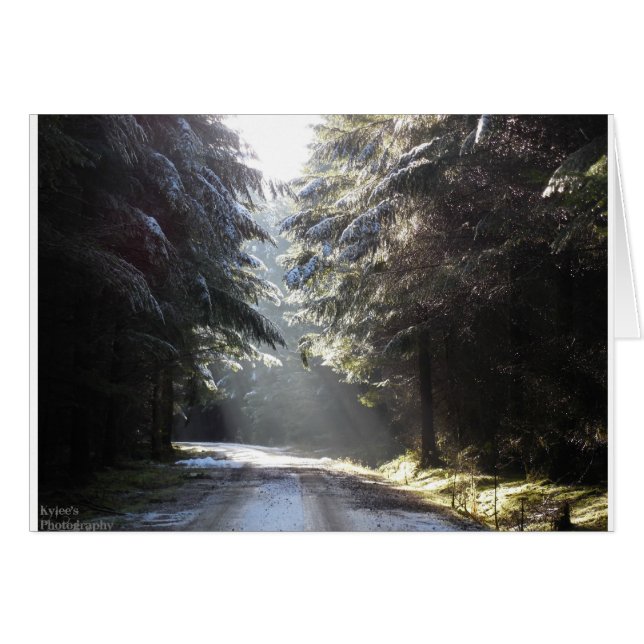 Det ljust i skogen hälsningskort (Framsidan Horizontal)