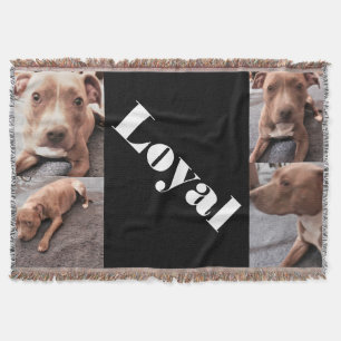 DET LOYALA PIT BULL-KLIVET FILT