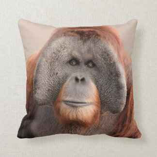 Det Male Sumatran Orangutandjurlivet kudder Kudde