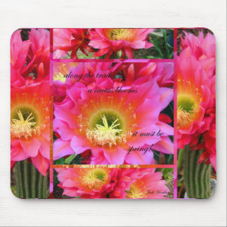 Det måste vara vårmusen vadderar musmatta